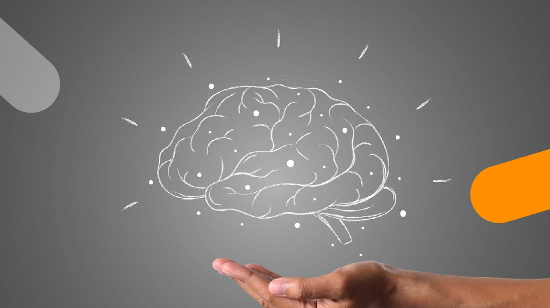 Las cuatro edades del cerebro - CEDINA Cursos